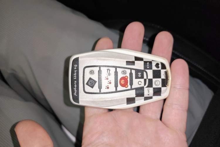 Used Geely Auto Binray 2024 Binrui COOL 1.5T DCT Champion Edition Vehicle Key