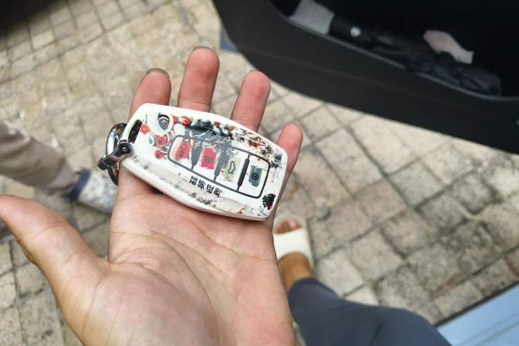 Used Geely Auto Binray 2024 Binrui COOL 1.5T DCT Champion Edition Vehicle Key