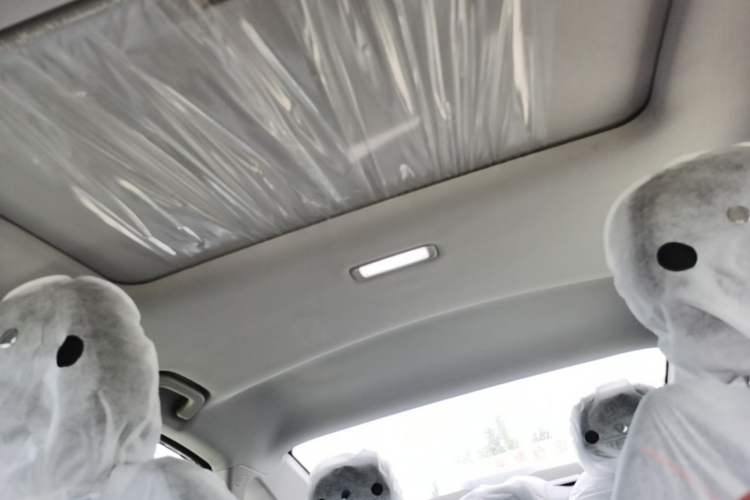 Used Geely Auto Binray 2024 Binrui COOL 1.5T DCT Longteng Edition Headliner