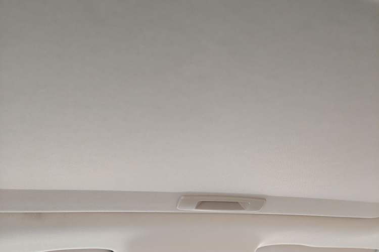 Used Geely Auto Binray 2024 Binrui COOL 1.5T DCT Champion Edition Headliner