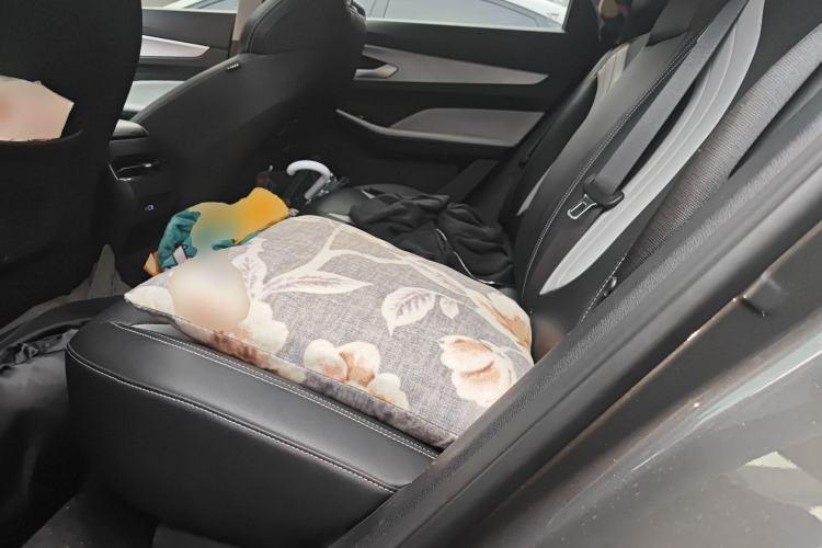 Used Geely Auto Binray 2024 Binrui COOL 1.5T DCT Champion Edition Left Rear Seat