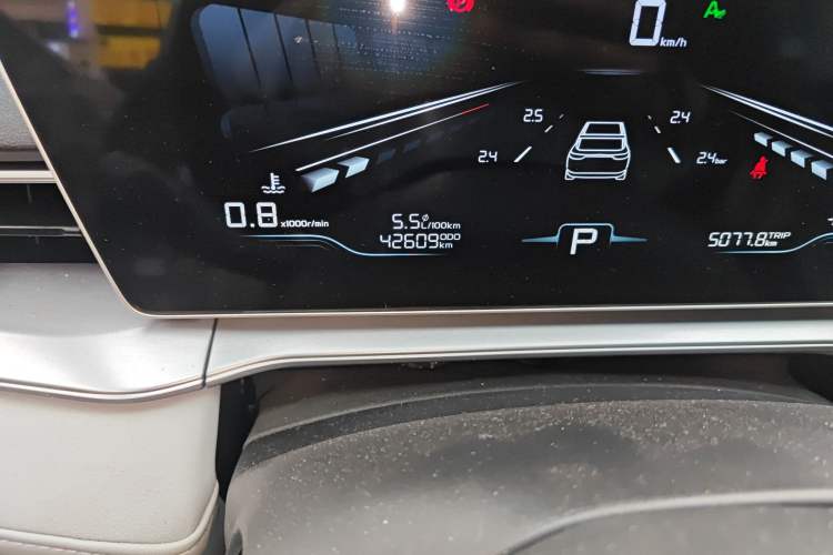 Used Geely Auto Binray 2024 Binrui COOL 1.5T DCT Champion Edition Odometer Close Up