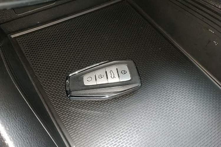 Used Geely Auto Binray 2024 Binrui COOL 1.5T DCT Champion Edition Vehicle Key