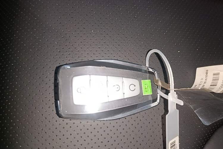 Used Geely Auto Binray 2024 Binrui COOL 1.5T DCT Longteng Edition Vehicle Key