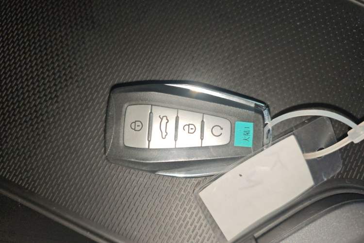 Used Geely Auto Binray 2024 Binrui COOL 1.5T DCT Longteng Edition Vehicle Key