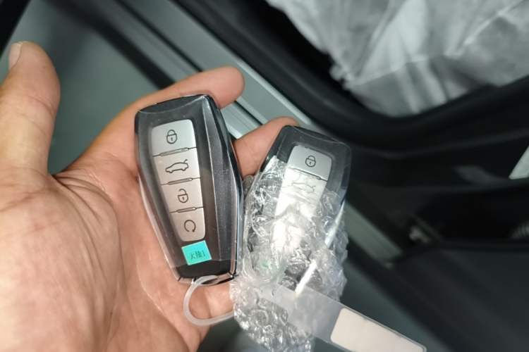 Used Geely Auto Binray 2024 Binrui COOL 1.5T DCT Longteng Edition Vehicle Key