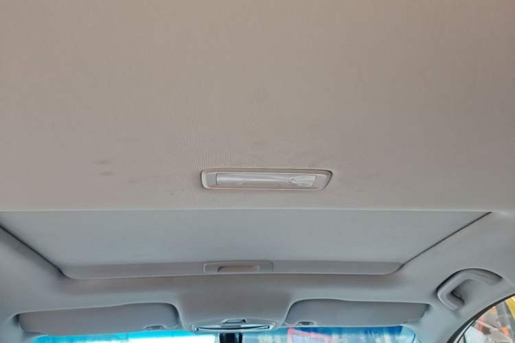 Used Geely Auto Binray 2024 Binrui COOL 1.5T DCT Champion Edition Headliner