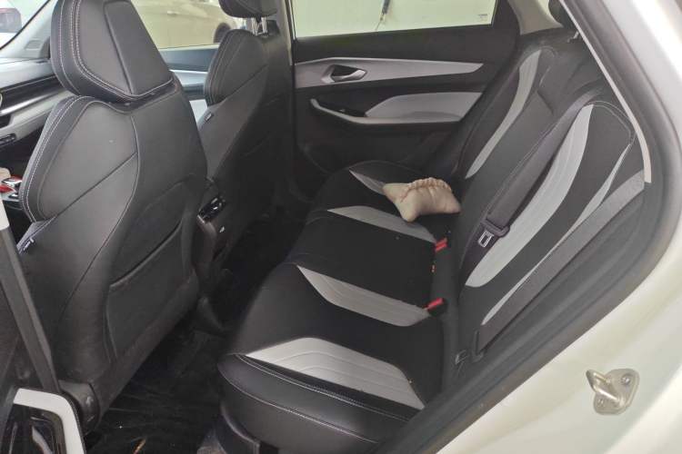 Used Geely Auto Binray 2024 Binrui COOL 1.5T DCT Champion Edition Interior 2