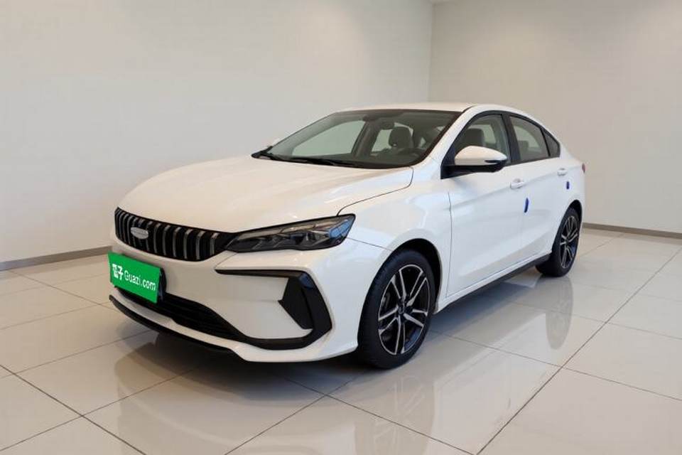 Geely Auto Binray 2024