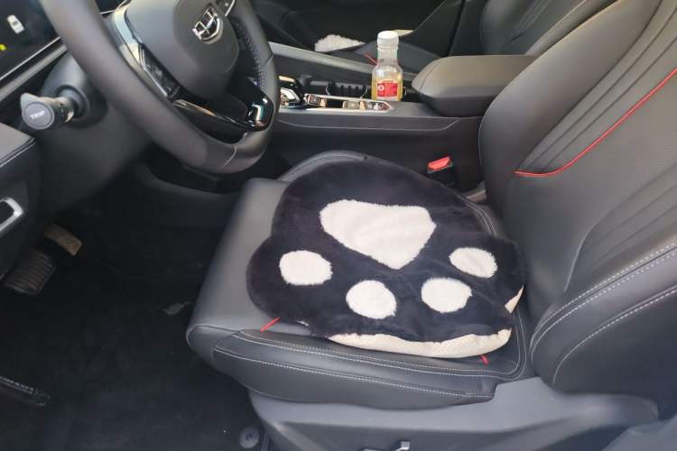 Used Geely Auto Binray 2024 Binrui COOL 1.5T DCT Longteng Edition Left Front Seat