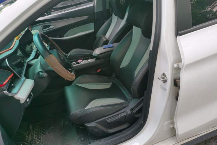 Used Geely Auto Binray 2024 Binrui COOL 1.5T DCT Champion Edition Left Front Seat