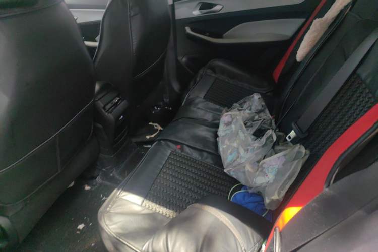 Used Geely Auto Binray 2024 Binrui COOL 1.5T DCT Champion Edition Left Rear Seat