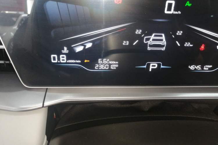 Used Geely Auto Binray 2024 Binrui COOL 1.5T DCT Champion Edition Odometer Close Up