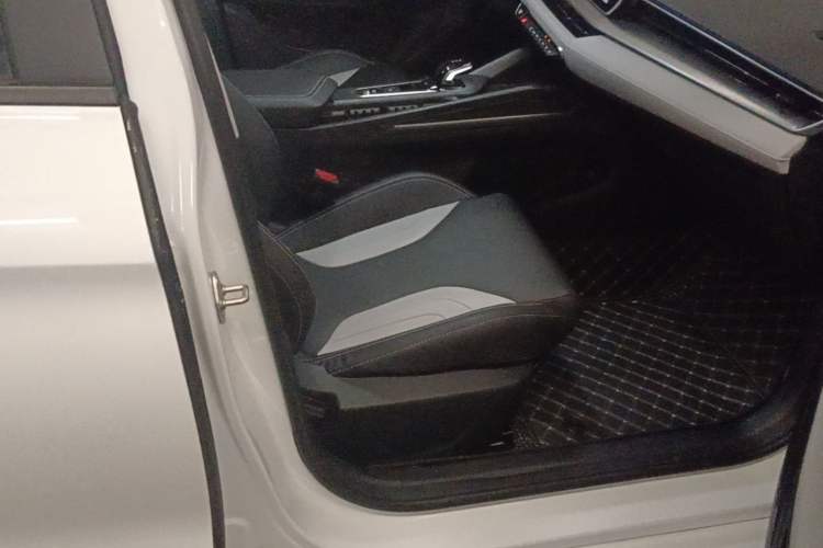 Used Geely Auto Binray 2024 Binrui COOL 1.5T DCT Champion Edition Right Front Seat