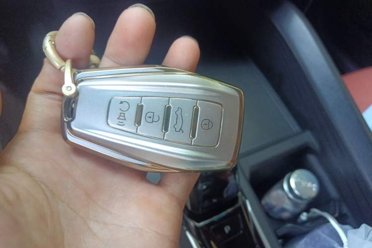 Used Geely Auto Binray 2024 Binrui COOL 1.5T DCT Champion Edition Vehicle Key