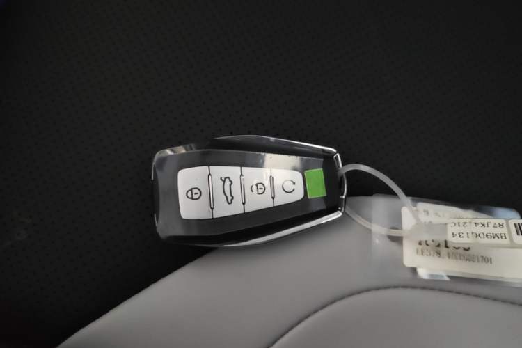 Used Geely Auto Binray 2024 Binrui COOL 1.5T DCT Champion Edition Vehicle Key