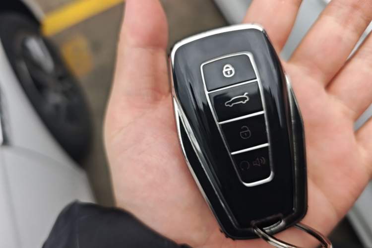 Used Geely Auto Binray 2024 Binrui COOL 1.5T DCT Champion Edition Vehicle Key