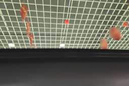 Thumbnail 21