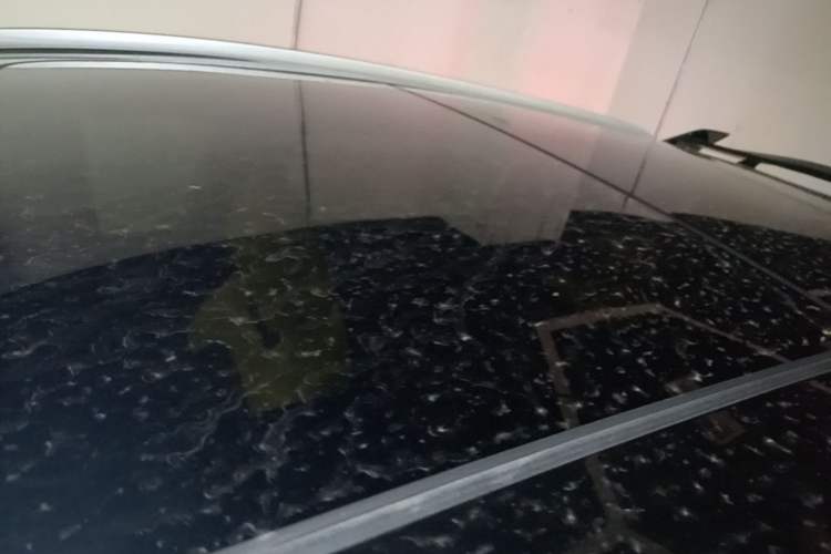 Used Geely Auto Coolray 2021 1.5TD DCT Battle Roof