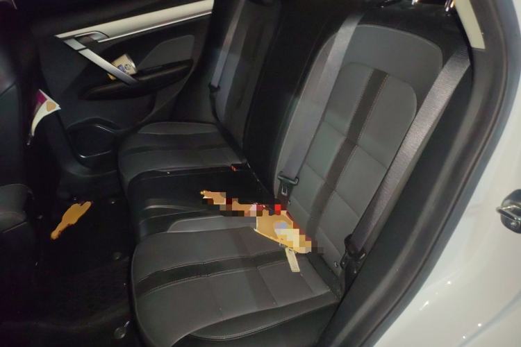 Used Geely Auto Coolray 2023 1.5T DCT Diamond Edition Left Rear Seat