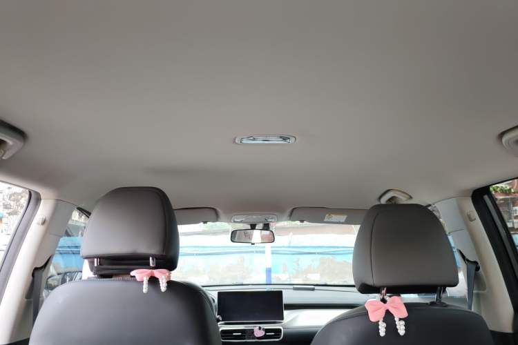 Used Geely Auto Coolray 2023 1.5T DCT Diamond Edition Headliner