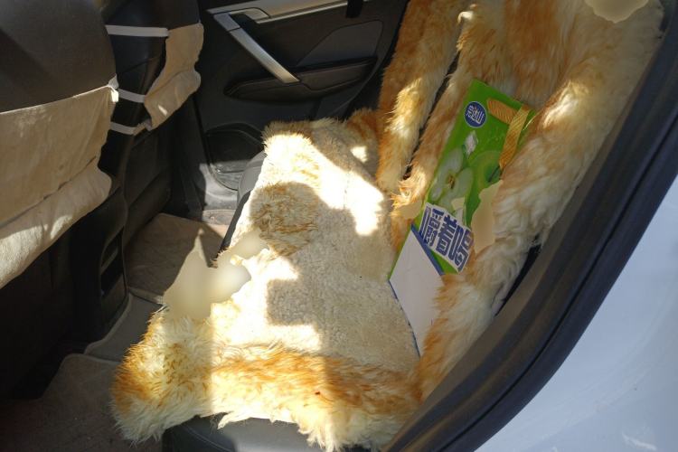 Used Geely Auto Coolray 2023 1.4T Manual Gold Edition Left Rear Seat