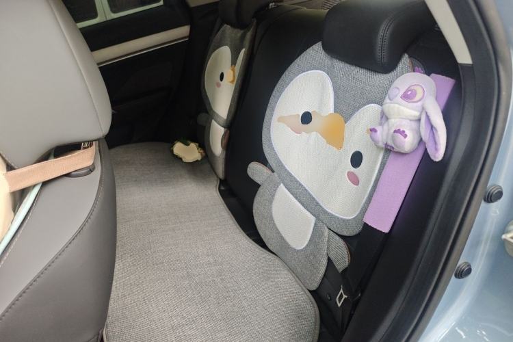 Used Geely Auto Coolray 2024 1.5T DCT Longteng Edition Left Rear Seat