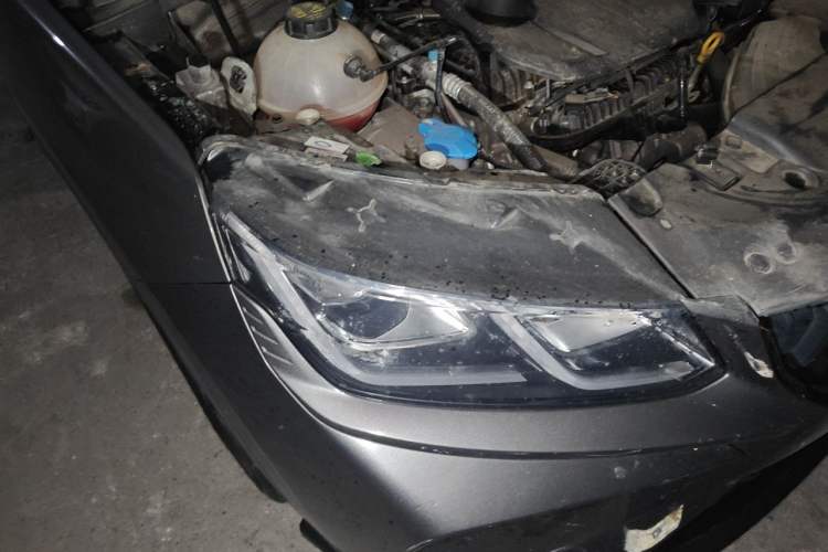 Used Geely Auto Coolray 2024 1.5T DCT Longteng Edition Right Front Headlight