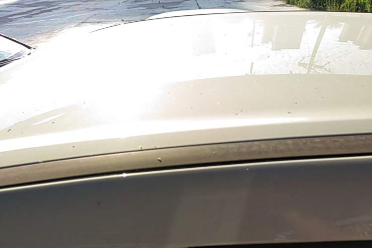 Used Geely Auto Coolray 2025 1.5L CVT Super Edition Roof