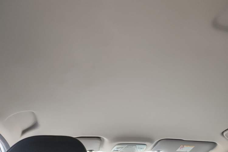 Used Geely Auto Coolray New Energy 2020 1.5T ePro Higher Headliner