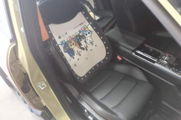 Used Geely Auto Cowboy 2025 1.5TD Fun-Offroad Version Right Front Seat