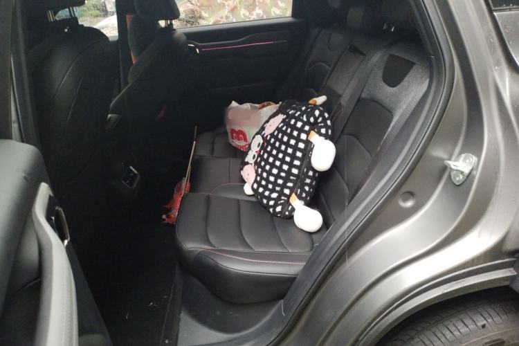 Used Geely Auto Cowboy 2025 1.5TD Fun-Offroad Version Left Rear Seat