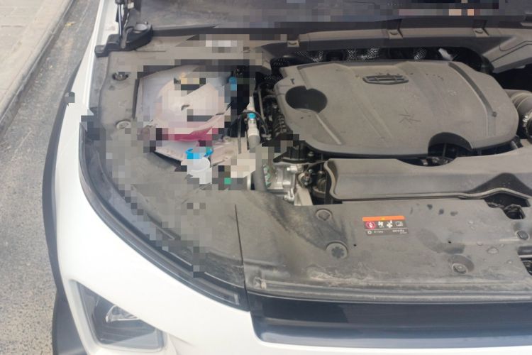 Used Geely Auto Cowboy 2025 1.5TD Trendy Play Edition Engine Bay Right