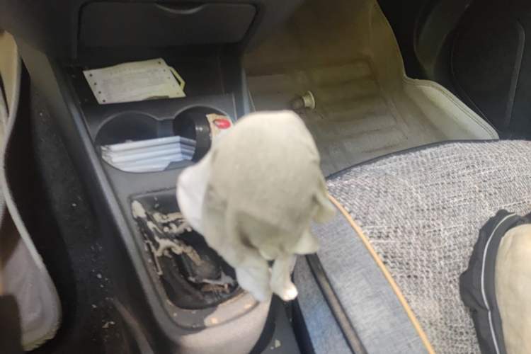Used Geely Auto Diamond 2014 Sedan 1.5L Manual Entry-Level Model Gear Lever