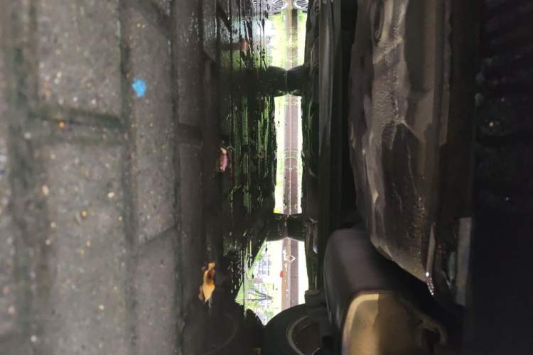 Used Geely Auto Emgrand 2015 Sedan 1.3T Manual Upward Edition Chassis Rear