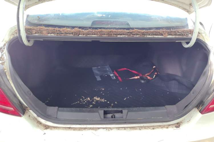 Used Geely Auto Emgrand 2015 Sedan 1.5L Manual - Top Trim Level Trunk