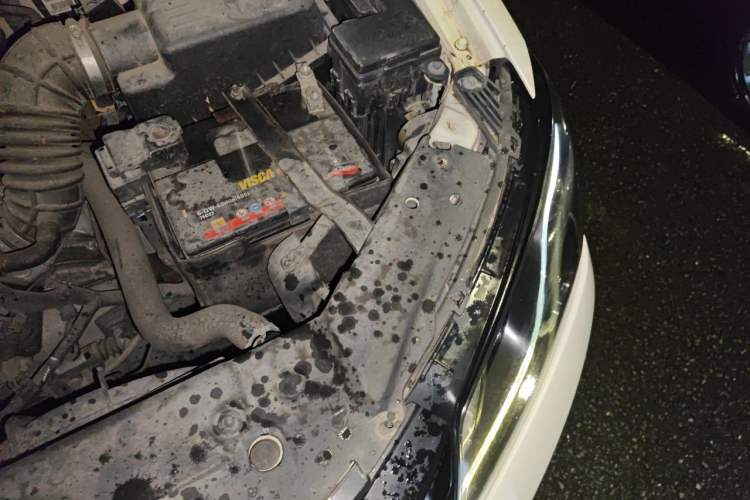 Used Geely Auto Emgrand 2016 Sedan 1.5L Manual Upward Edition Engine Bay Left
