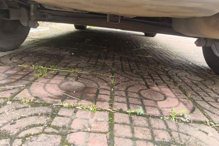 Used Geely Auto Emgrand 2016 Hatchback RS 1.5L CVT Upward Edition Chassis Rear