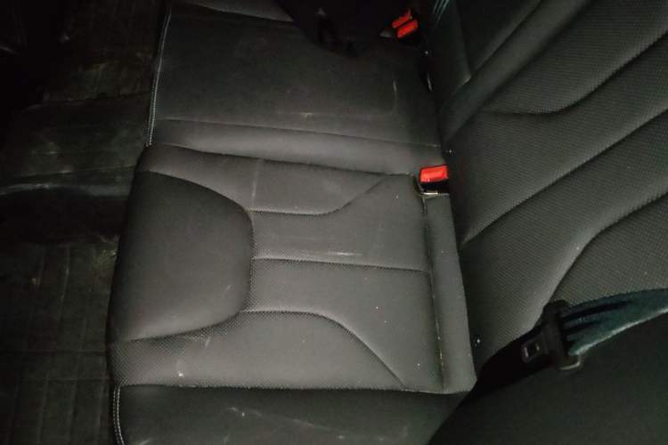 Used Geely Auto Emgrand 2017 Sedan Million Edition 1.5L CVT Upward Connectivity Version Left Rear Seat