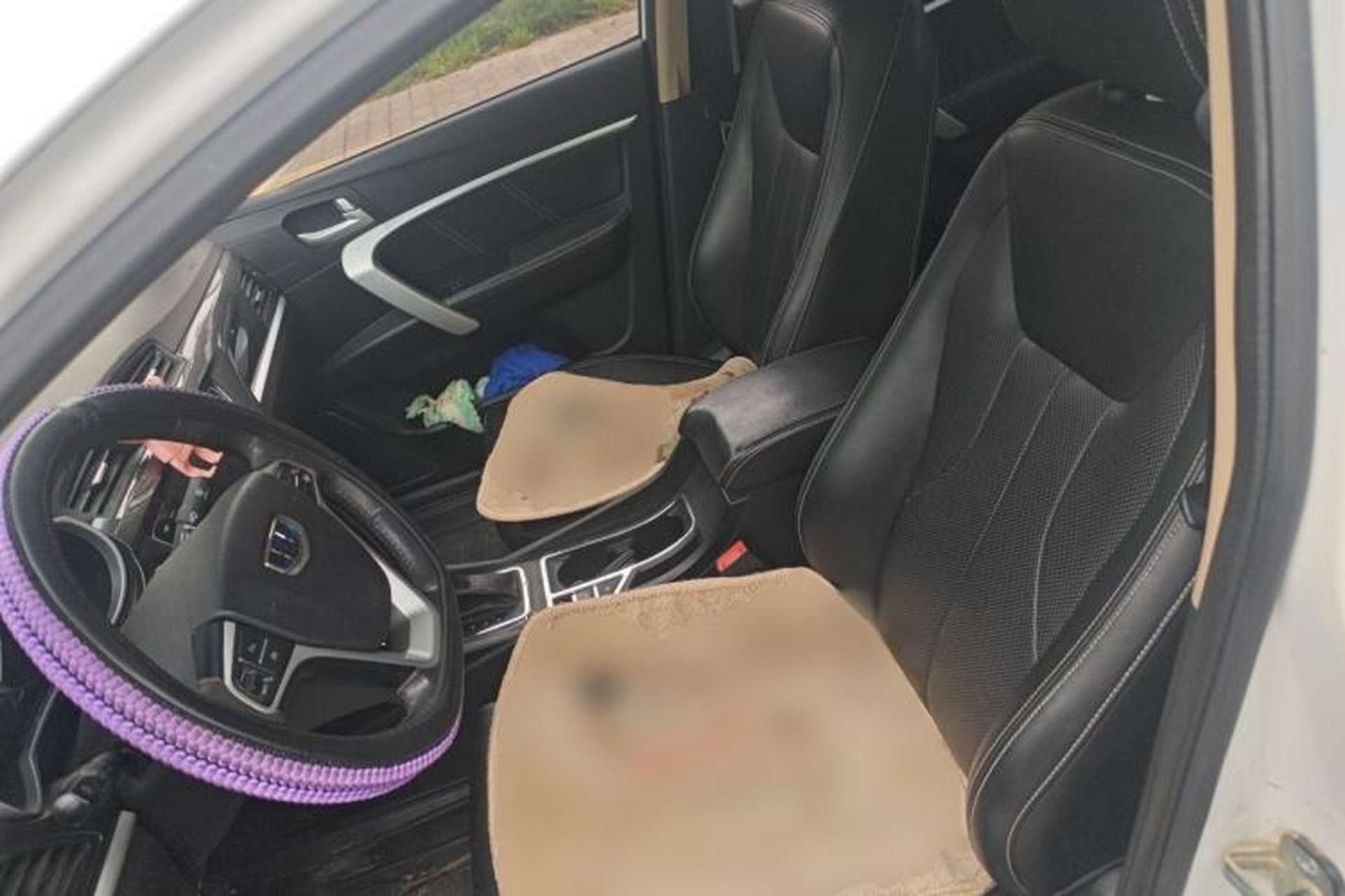 Used Geely Auto Emgrand 2017 Sedan Million Edition 1.5L CVT Upward Version Left Front Seat