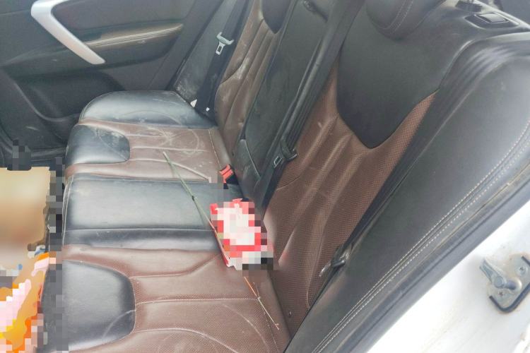 Used Geely Auto Emgrand 2017 Hatchback RS Million Edition 1.5L Manual Upward Version Left Rear Seat