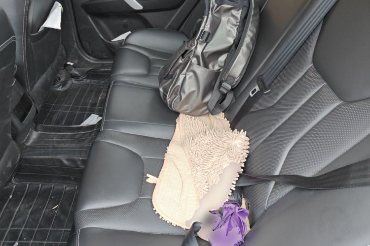 Used Geely Auto Emgrand 2017 Sedan Million Edition 1.5L Manual Upward Connect Version Left Rear Seat
