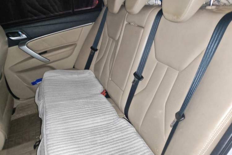 Used Geely Auto Emgrand 2017 Sedan Million Edition 1.5L CVT Luxury Model Left Rear Seat