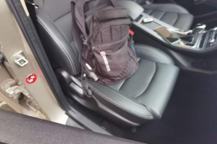 Used Geely Auto Emgrand 2018 1.5L CVT Upward Connect Edition Right Front Seat