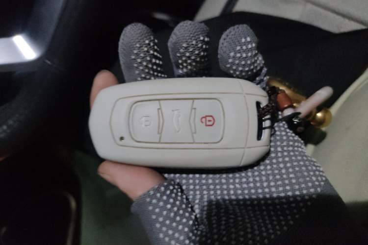 Used Geely Auto Emgrand 2018 1.5L CVT Luxury Model Vehicle Key