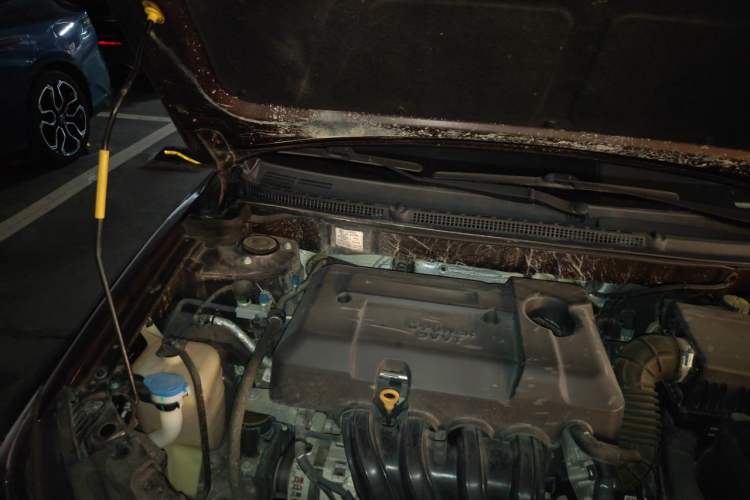 Used Geely Auto Emgrand 2018 1.5L CVT Upward Connect Edition Engine Bay Right