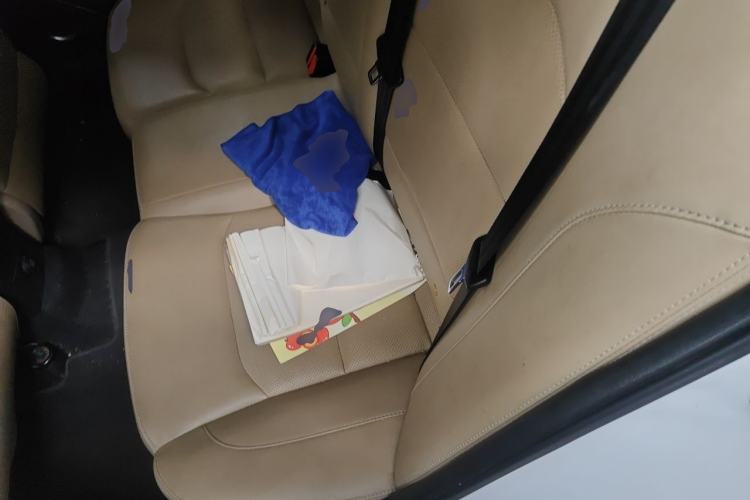 Used Geely Auto Emgrand 2018 1.5L CVT Luxury Model Left Rear Seat