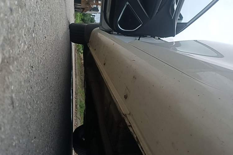 Used Geely Auto Emgrand 2018 1.5L CVT Upward Connect Edition Left Side Sill