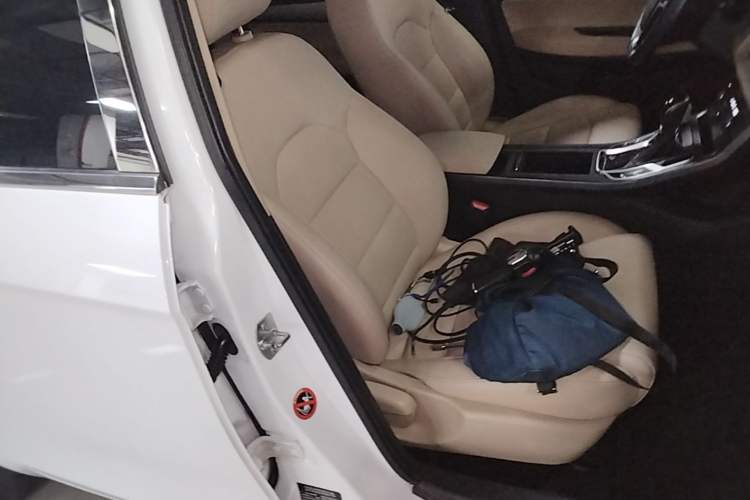 Used Geely Auto Emgrand 2018 1.5L CVT Luxury Model Right Front Seat