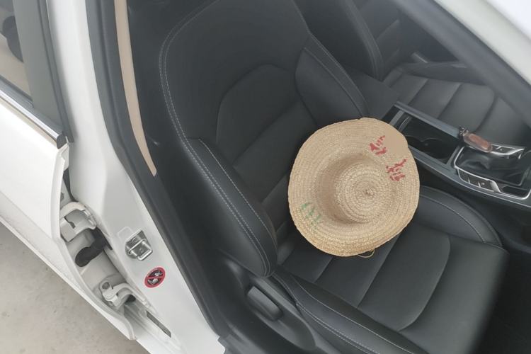 Used Geely Auto Emgrand 2018 1.5L CVT Upward Connect Edition Right Front Seat